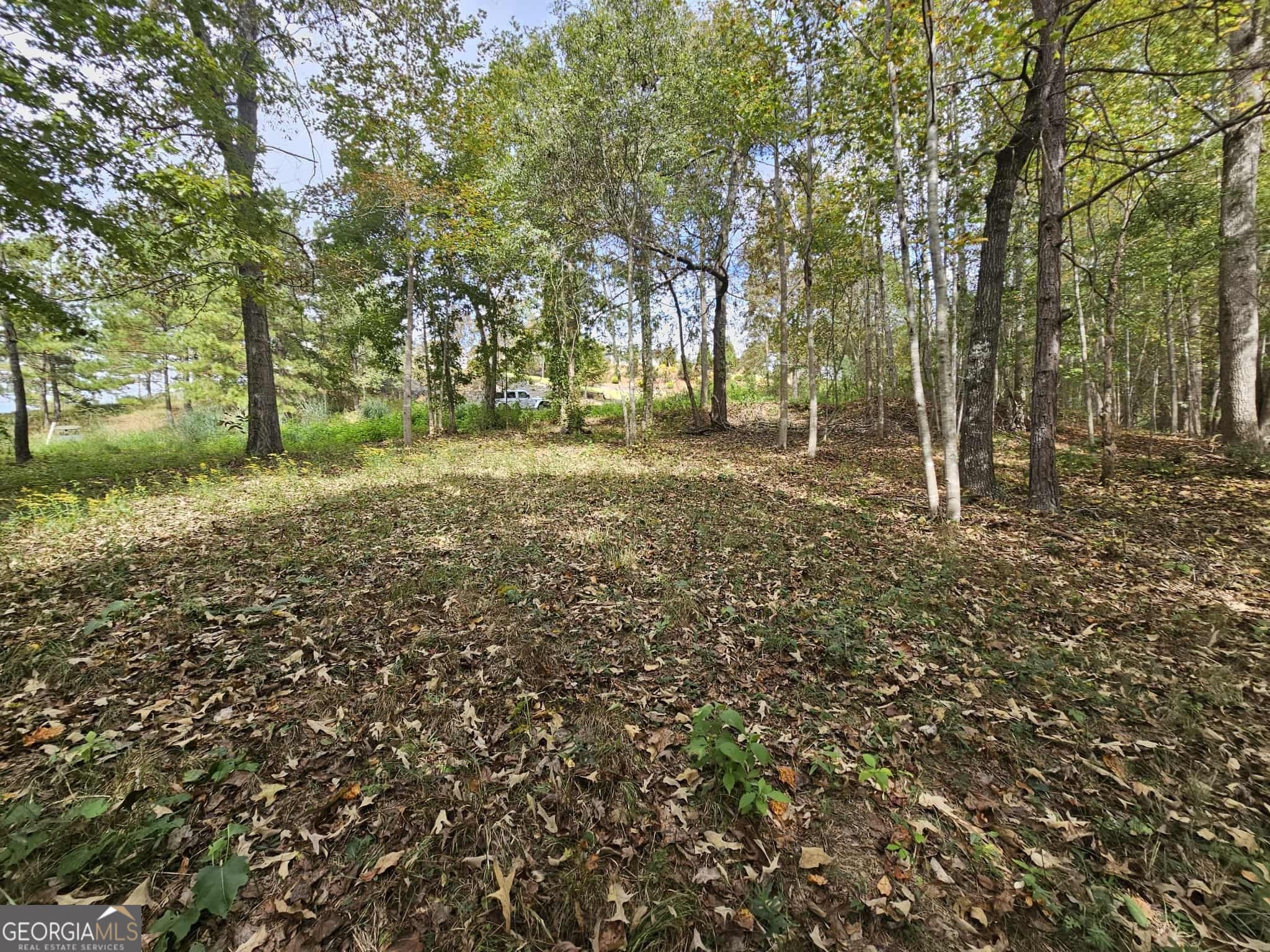 residential lot for sale at 42 Lookout Point, Toccoa, GA 30577 — photo 4