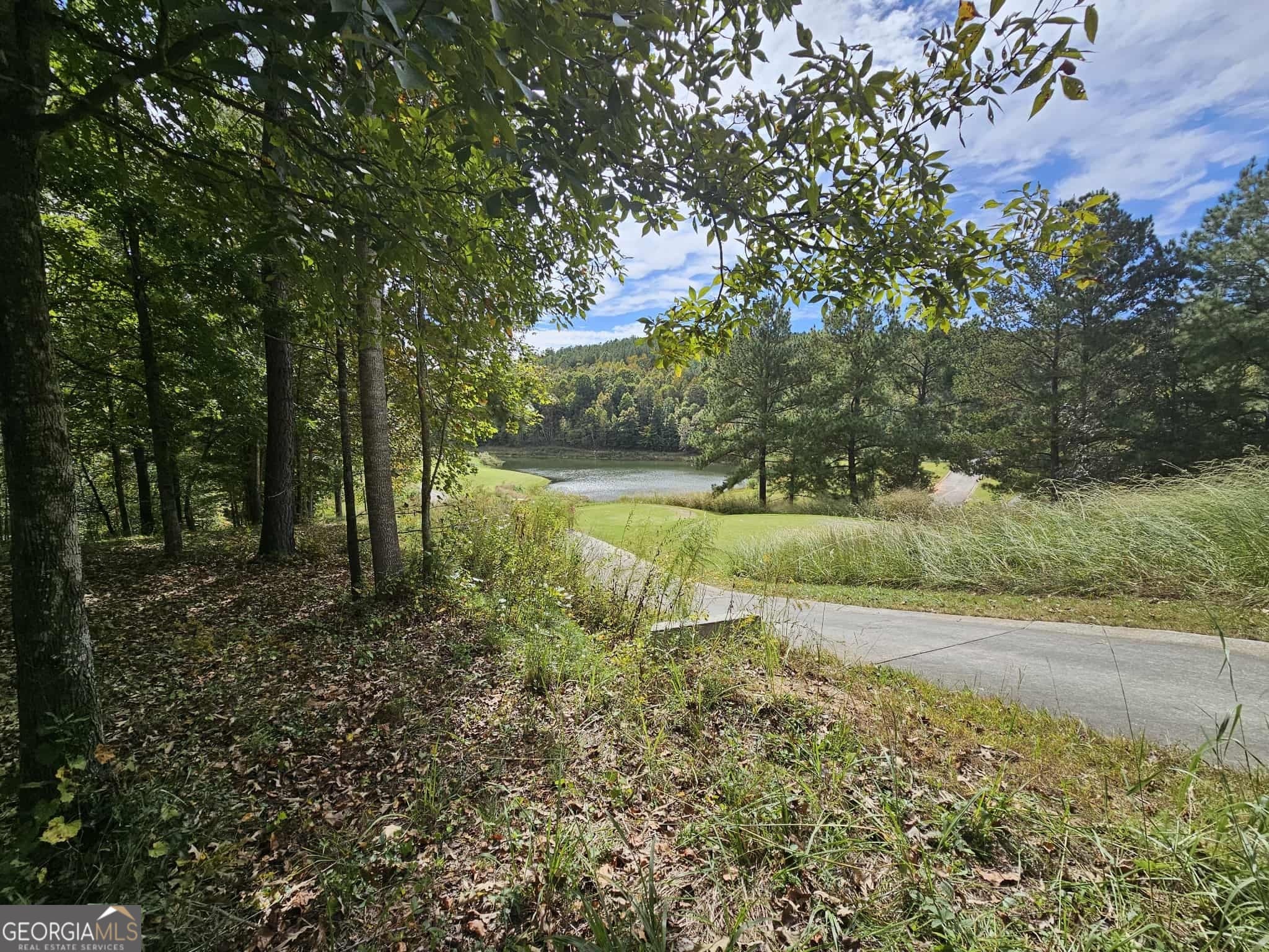 residential lot for sale at 42 Lookout Point, Toccoa, GA 30577 — photo 8