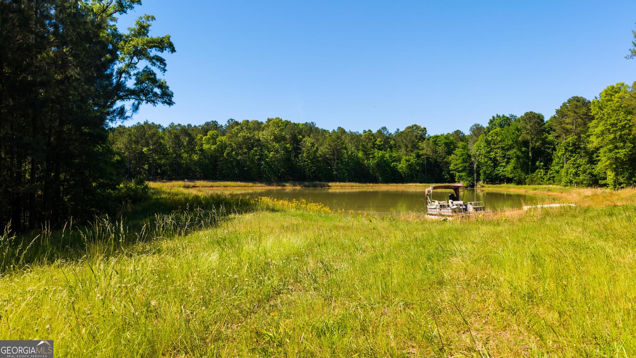 agriculture for sale at 0 Calhoun Falls Highway, Elberton, GA 30635 — photo 6