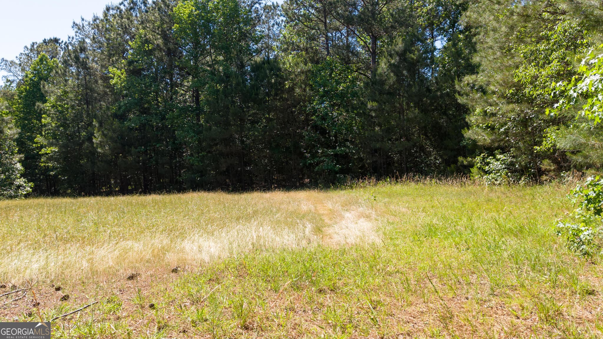 agriculture for sale at 0 Calhoun Falls Highway, Elberton, GA 30635 — photo 7