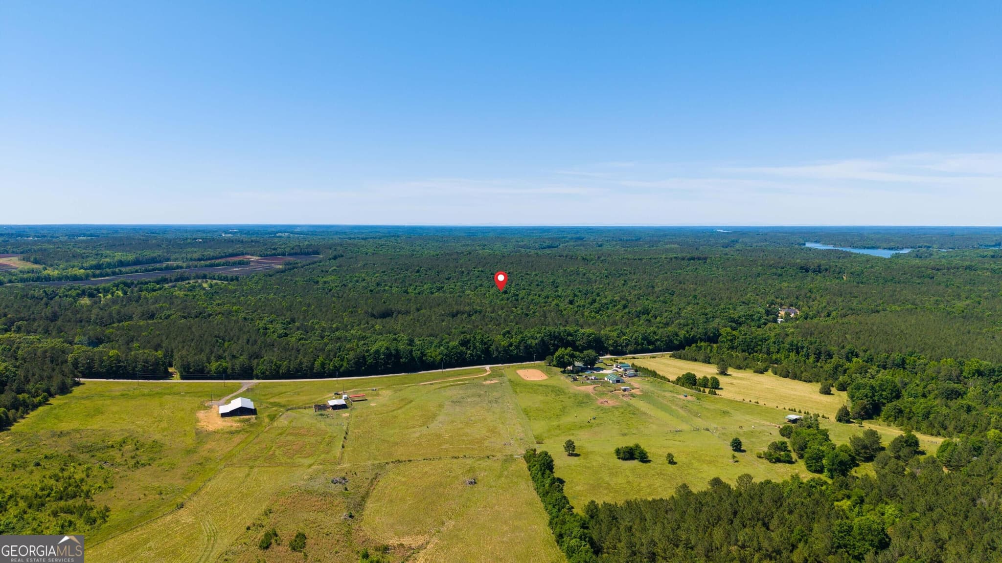 agriculture for sale at 0 Calhoun Falls Highway, Elberton, GA 30635 — photo 3