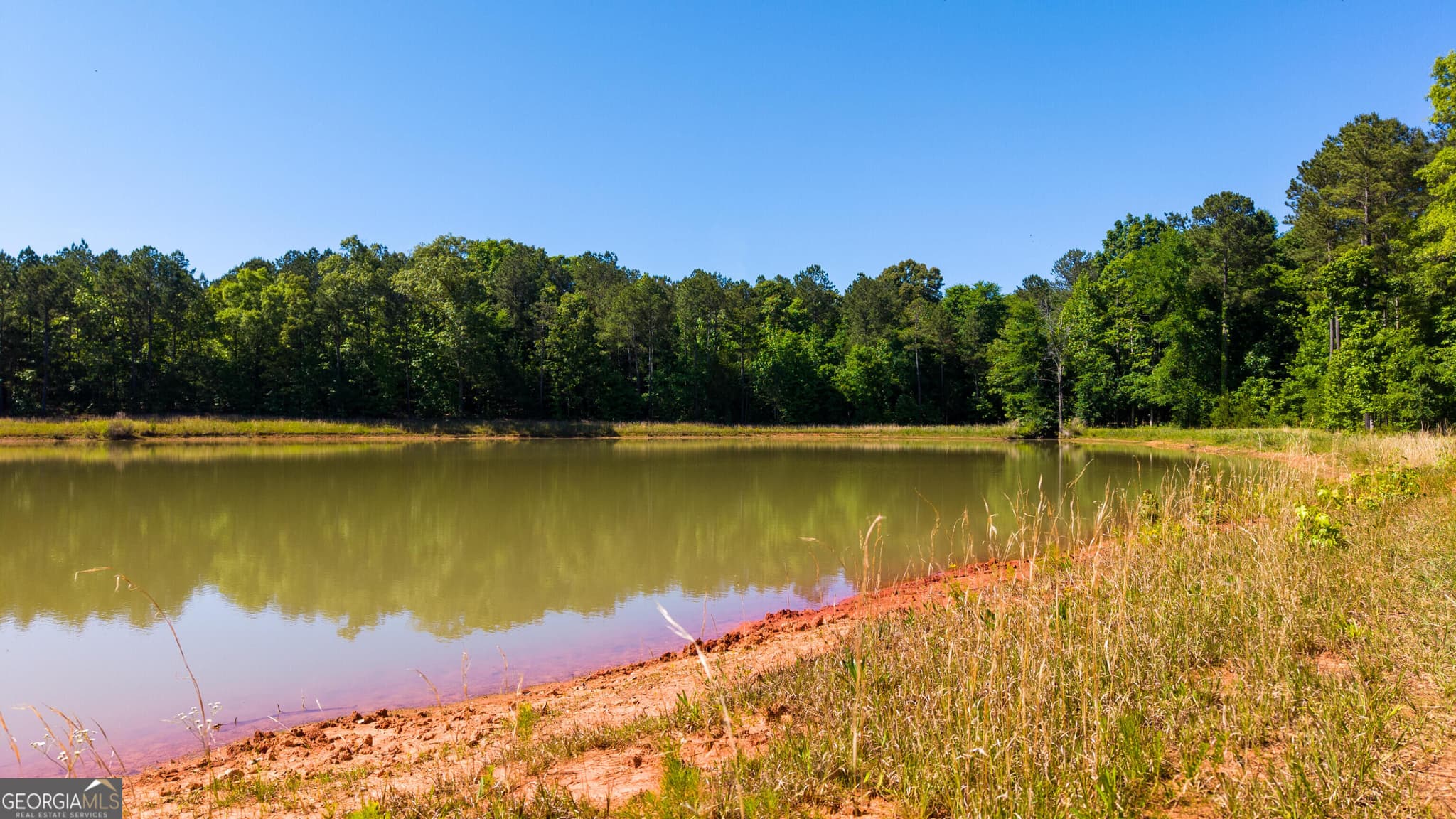 agriculture for sale at 0 Calhoun Falls Highway, Elberton, GA 30635 — photo 5