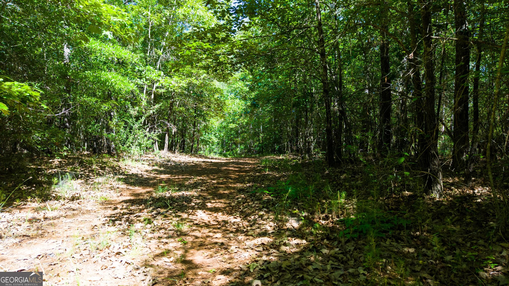 agriculture for sale at 0 Calhoun Falls Highway, Elberton, GA 30635 — photo 9