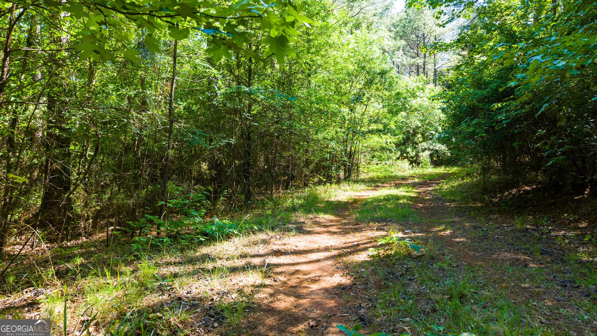 agriculture for sale at 0 Calhoun Falls Highway, Elberton, GA 30635 — photo 10