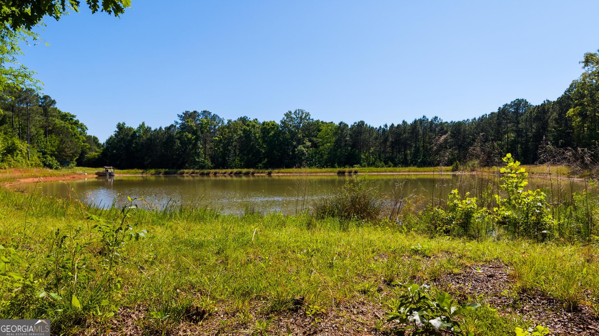 agriculture for sale at 0 Calhoun Falls Highway, Elberton, GA 30635 — photo 4