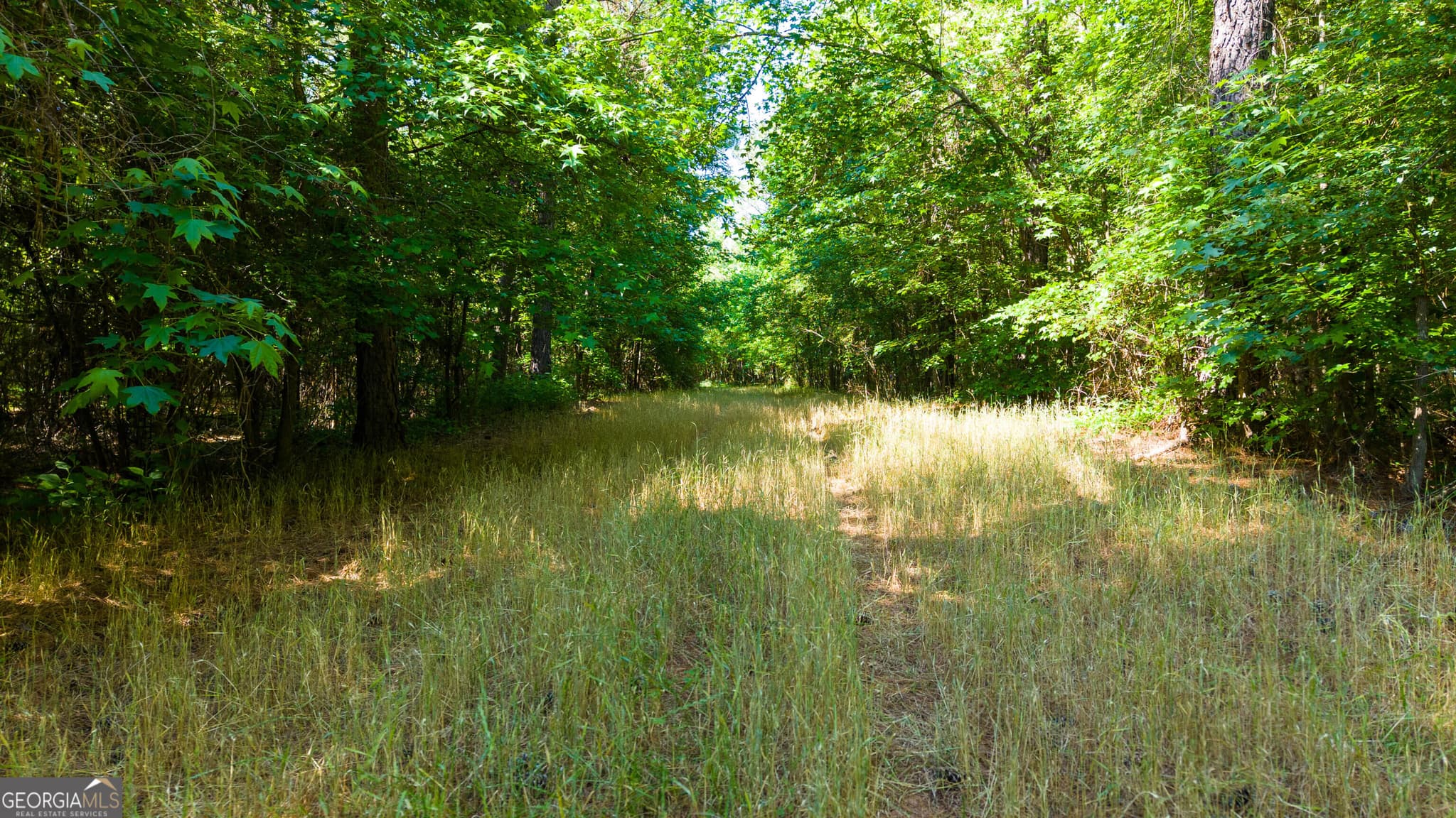 agriculture for sale at 0 Calhoun Falls Highway, Elberton, GA 30635 — photo 8