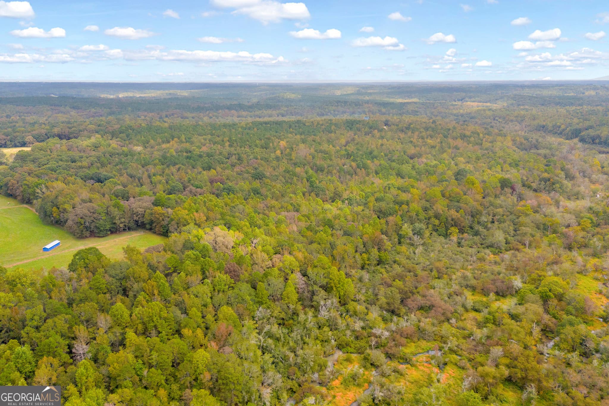 agriculture for sale at 0 Curry Farms Road LOT 37, Jefferson, GA 30549 — photo 8