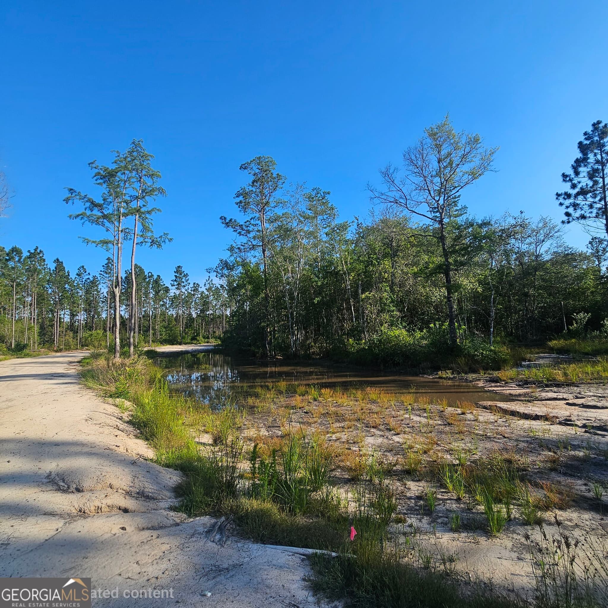 unimproved land for sale at 0 Mill Branch Club Road LOT 1N, Nevils, GA 31321 — photo 2