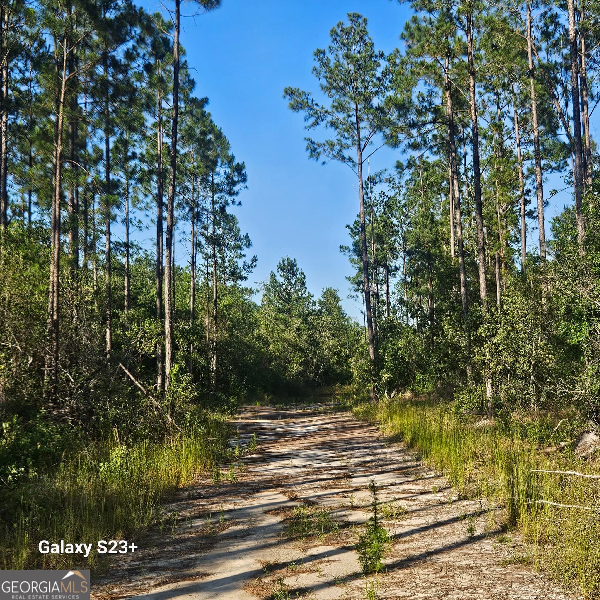 unimproved land for sale at 0 Mill Branch Club Road LOT 1N, Nevils, GA 31321 — photo 1 of 5