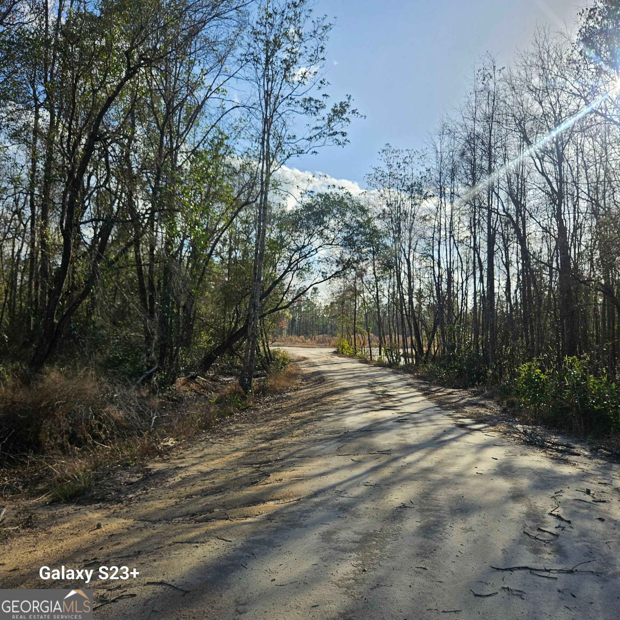 unimproved land for sale at 0 Mill Branch Club Road LOT 1N, Nevils, GA 31321 — photo 4