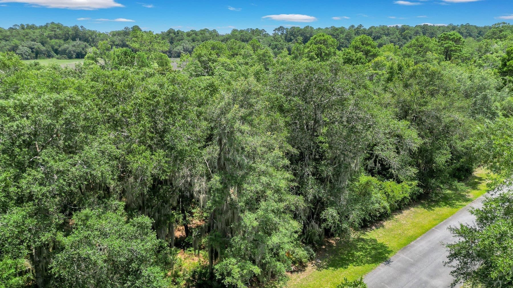 residential lot for sale at LOT 59 St Joseph's Point, Darien, GA 31305 — photo 6