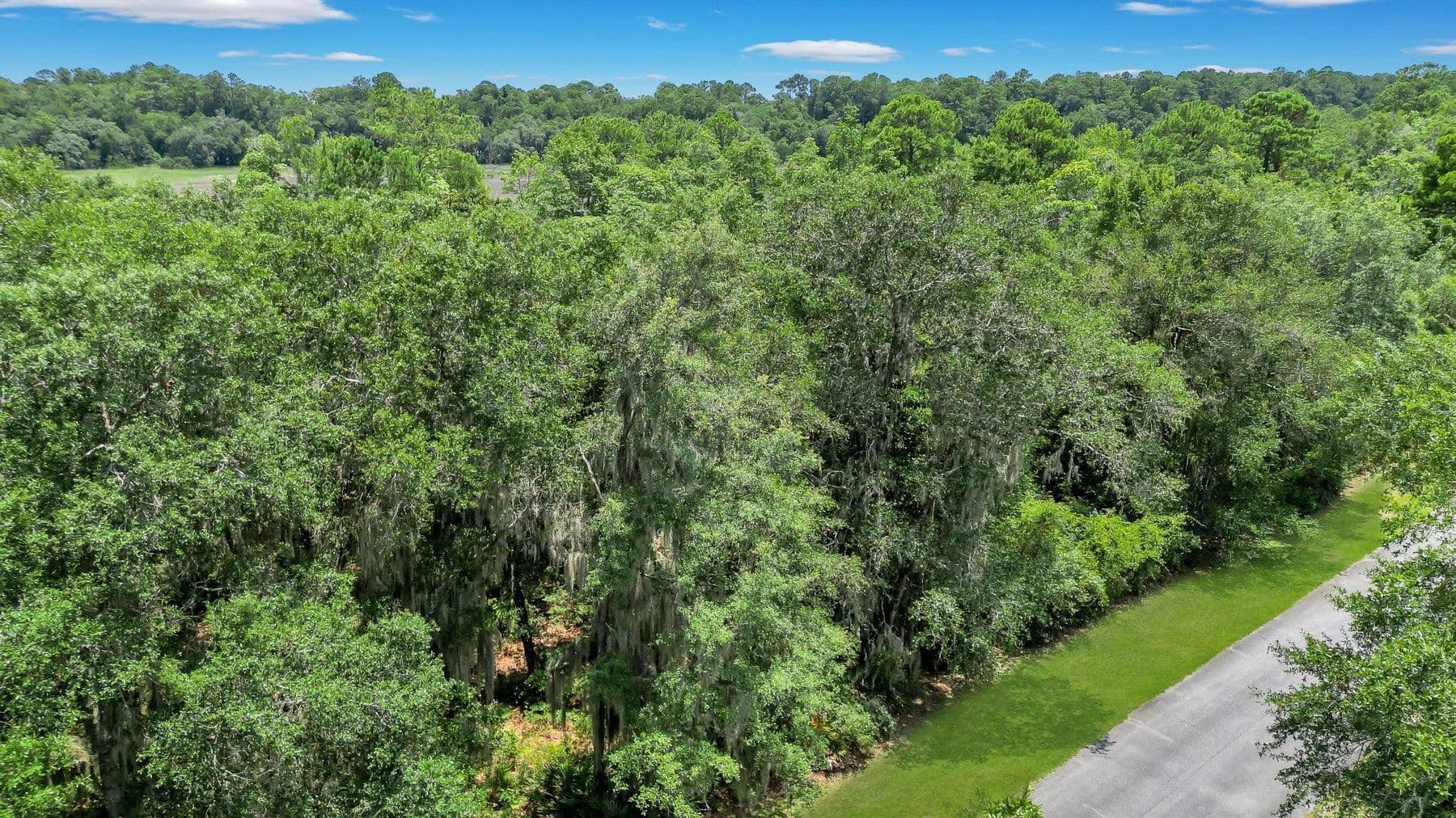 residential lot for sale at LOT 59 St Joseph's Point, Darien, GA 31305 — photo 7