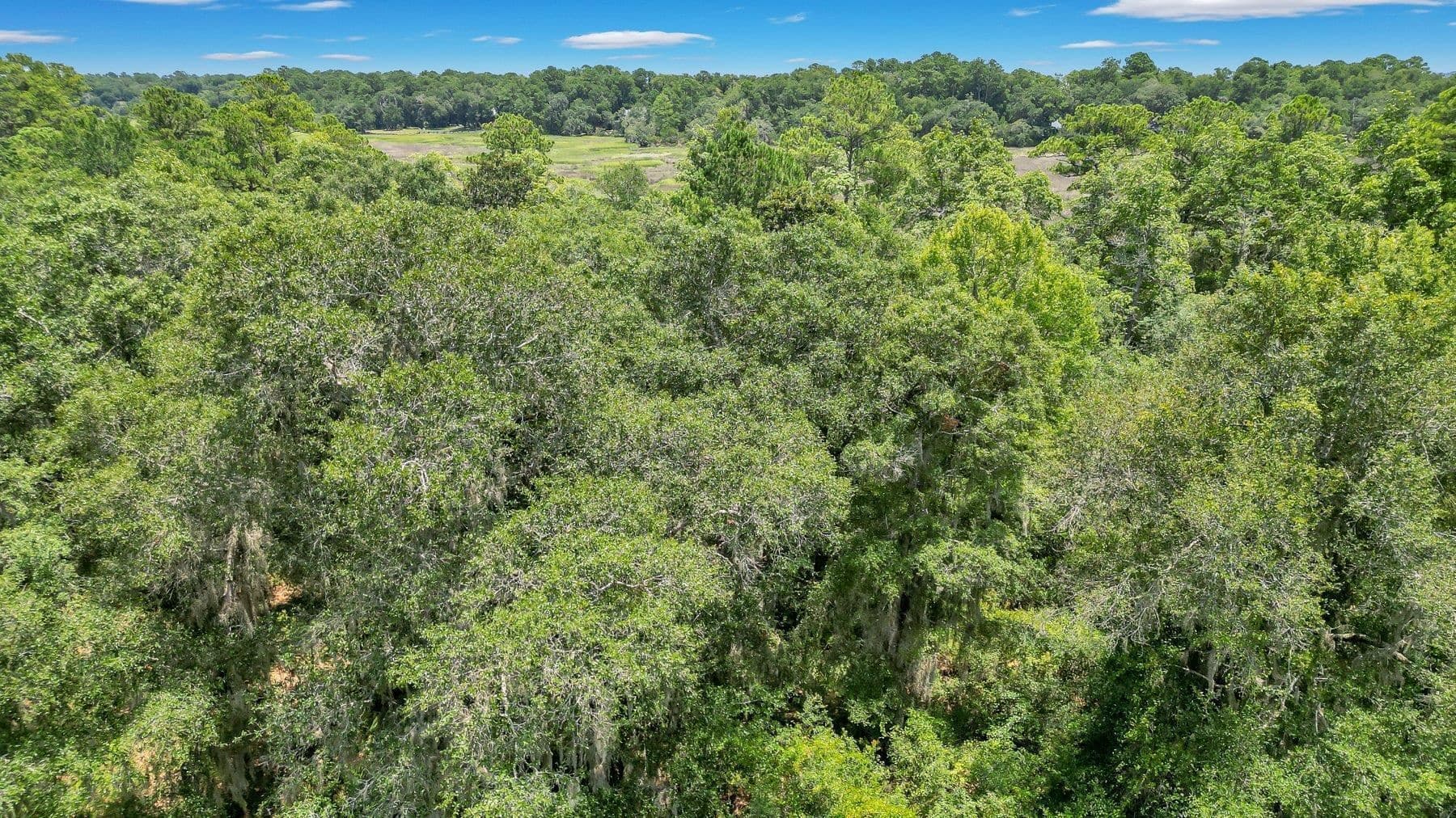 residential lot for sale at LOT 59 St Joseph's Point, Darien, GA 31305 — photo 3