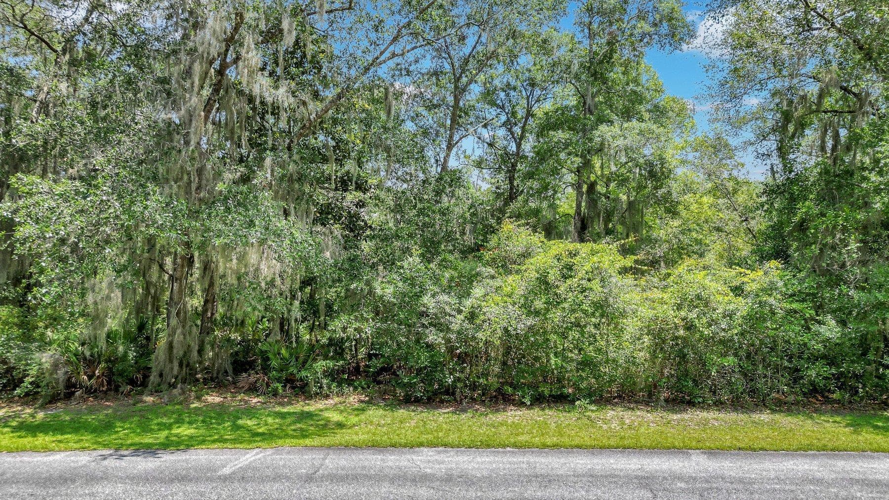 residential lot for sale at LOT 59 St Joseph's Point, Darien, GA 31305