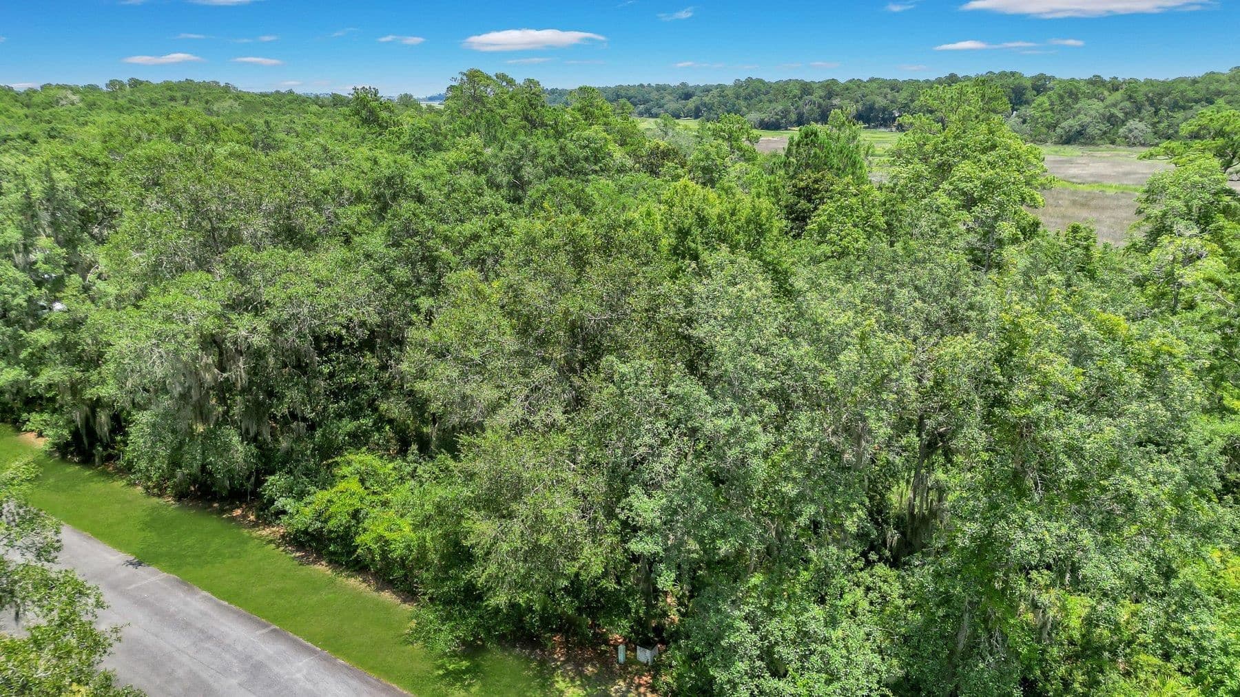 residential lot for sale at LOT 59 St Joseph's Point, Darien, GA 31305 — photo 5