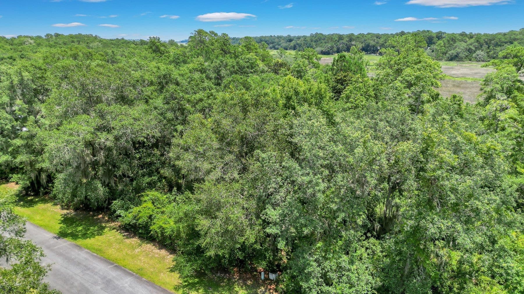 residential lot for sale at LOT 59 St Joseph's Point, Darien, GA 31305 — photo 4