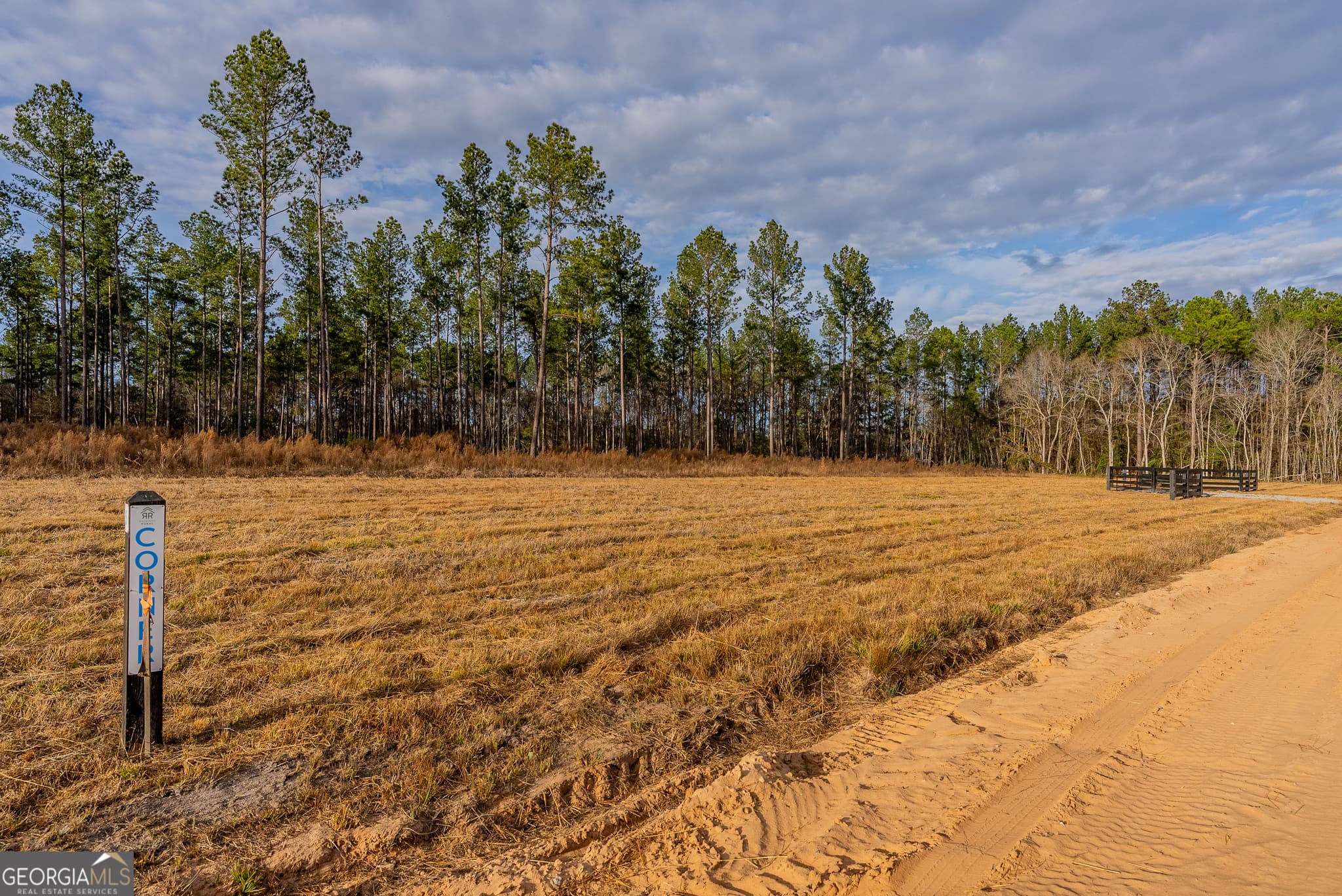 agriculture for sale at LOT 6 Arcola Road, Brooklet, GA 30415 — photo 3