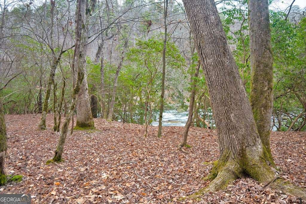 unimproved land for sale at 8 ACRES Brunton Circle, Ellijay, GA 30540 — photo 2