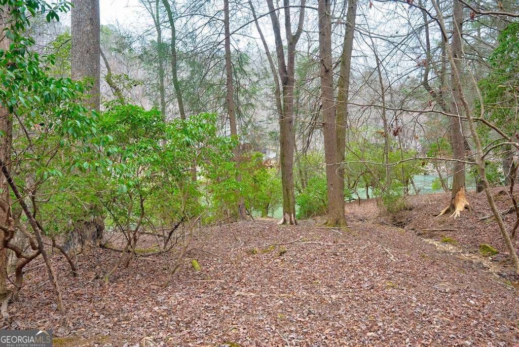 unimproved land for sale at 8 ACRES Brunton Circle, Ellijay, GA 30540 — photo 3