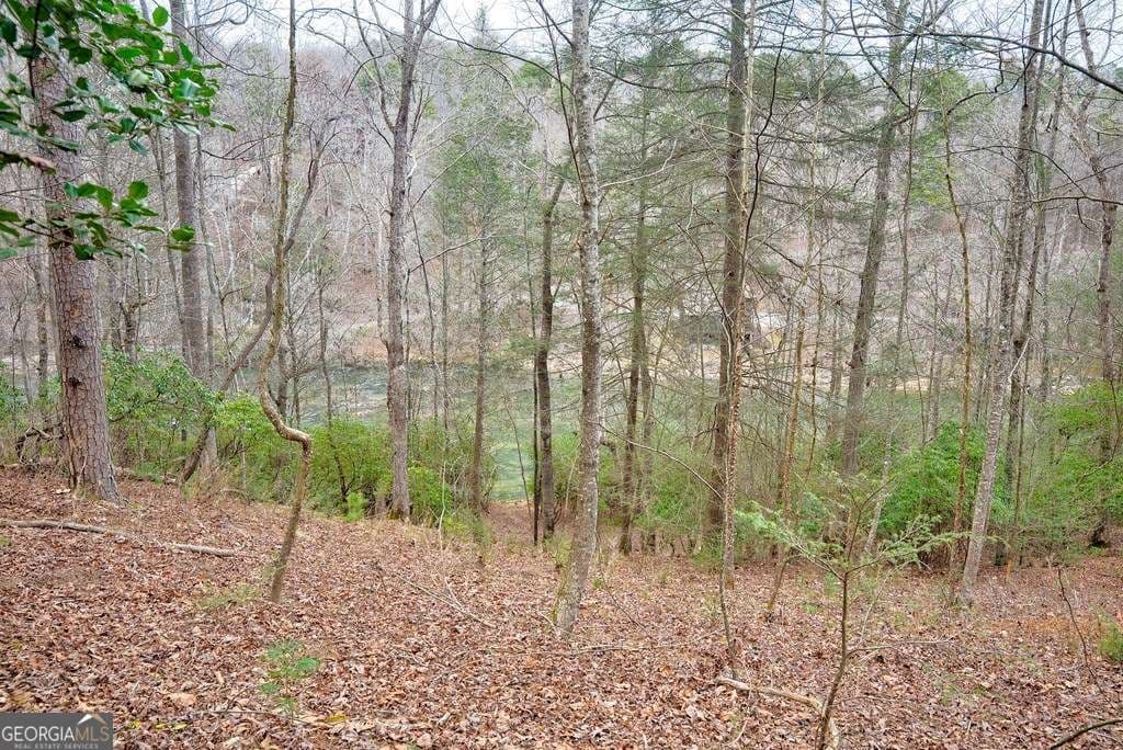 unimproved land for sale at 8 ACRES Brunton Circle, Ellijay, GA 30540 — photo 5