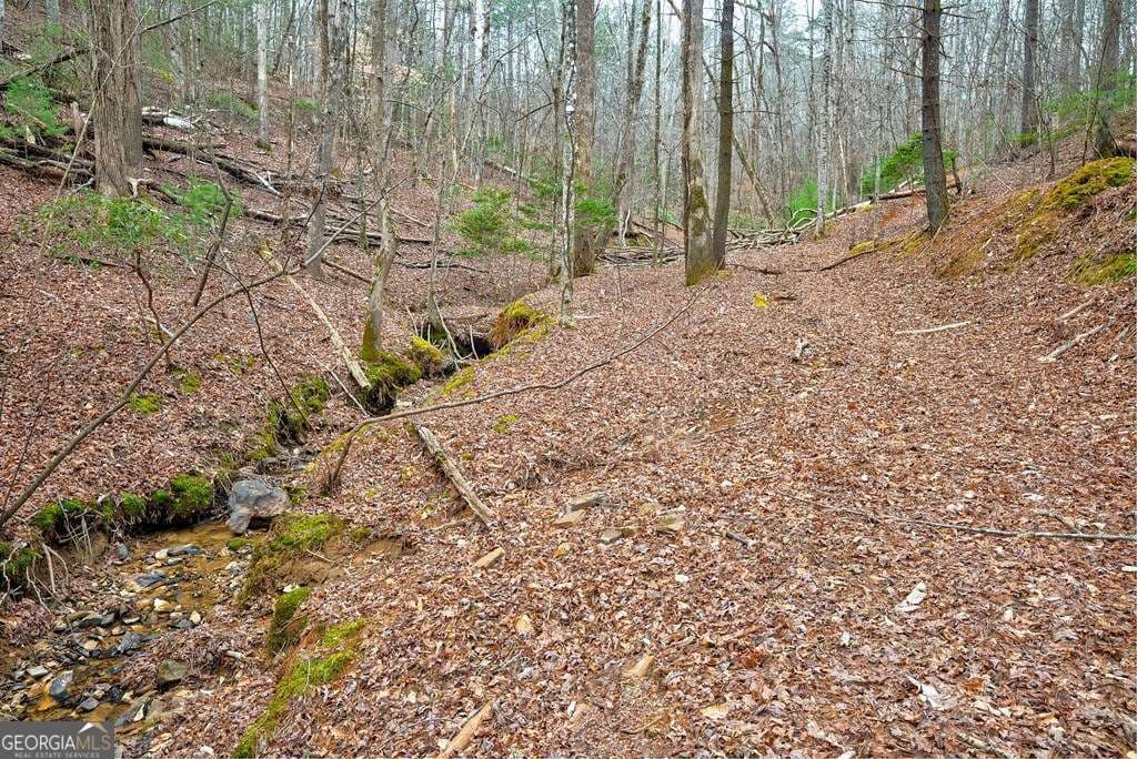 unimproved land for sale at 8 ACRES Brunton Circle, Ellijay, GA 30540 — photo 9