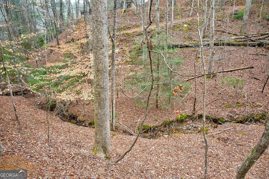 unimproved land for sale at 8 ACRES Brunton Circle, Ellijay, GA 30540 — photo 10