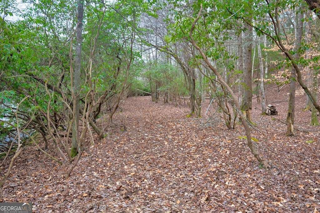 unimproved land for sale at 8 ACRES Brunton Circle, Ellijay, GA 30540 — photo 4