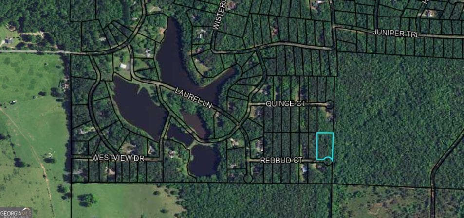 residential lot for sale at BLK 14 LOT 11 Redbud Court, Waverly Hall, GA 31831 — photo 2