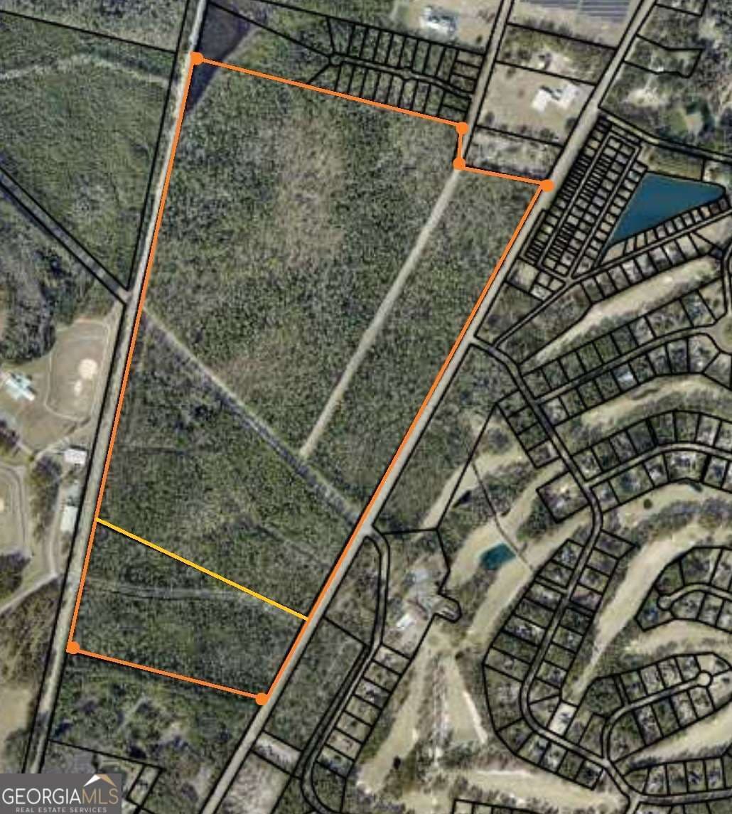 unimproved land for sale at 0 S Palm Street, Jesup, GA 31546 — photo 2