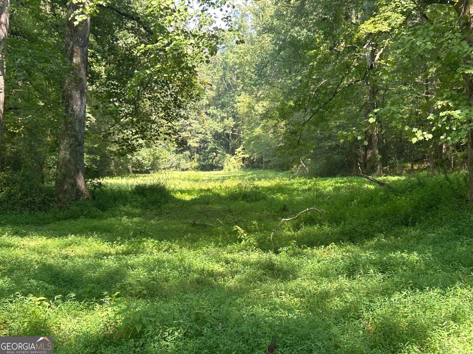 agriculture for sale at 0 Attaway Road 9.22, Bowdon, GA 30108 — photo 2