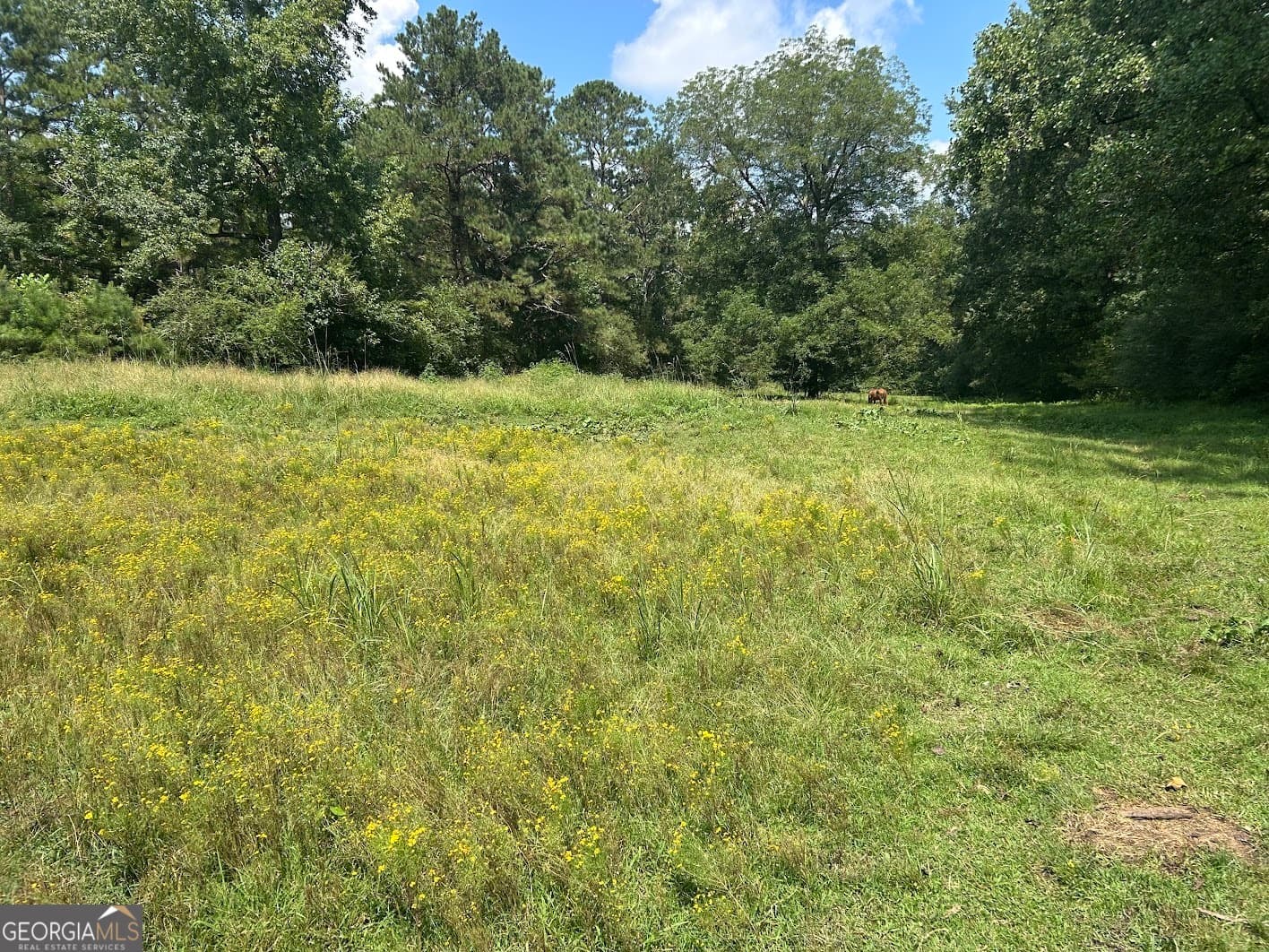 agriculture for sale at 0 Attaway Road 9.22, Bowdon, GA 30108 — photo 6