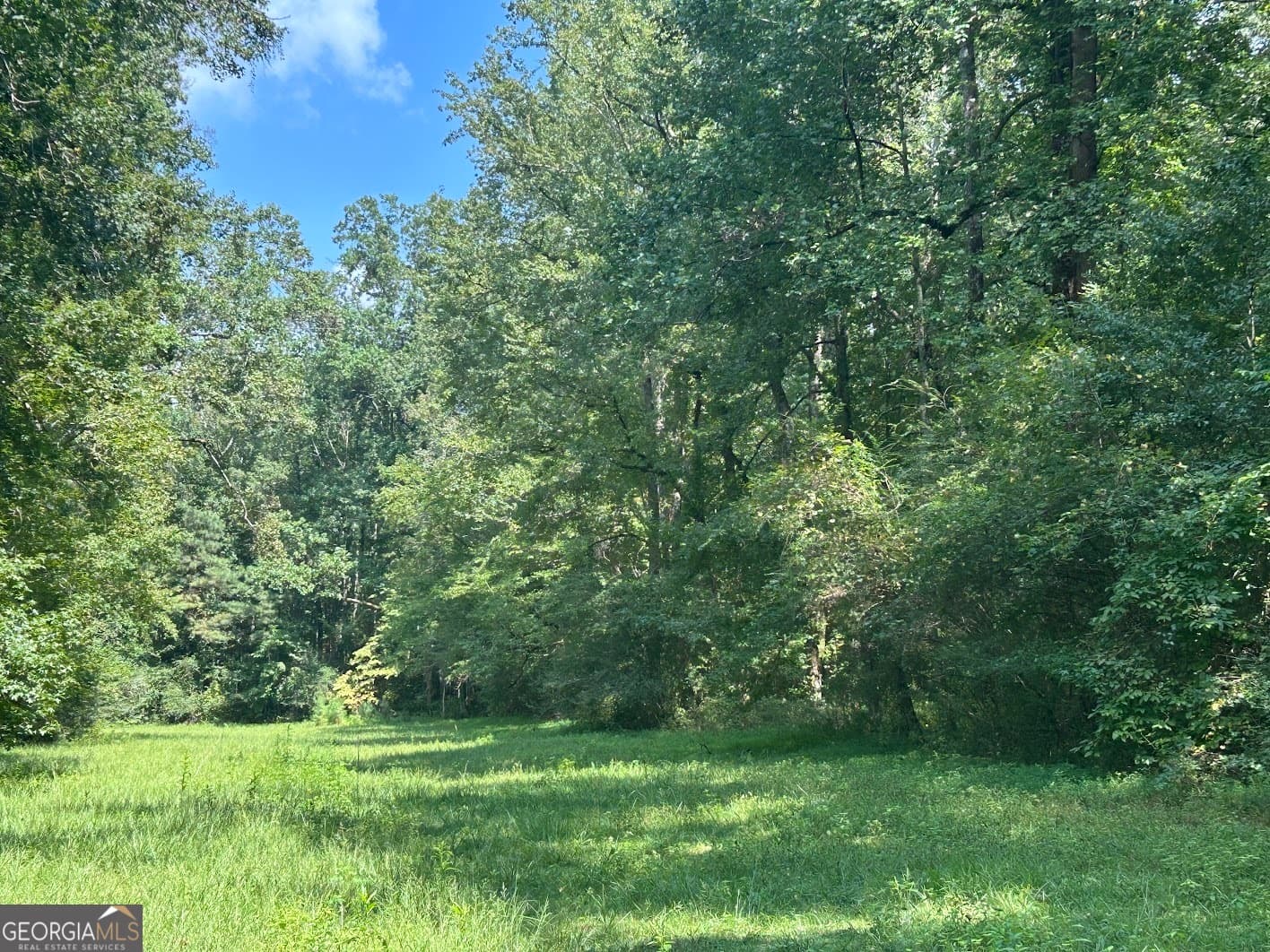 agriculture for sale at 0 Attaway Road 9.22, Bowdon, GA 30108 — photo 7