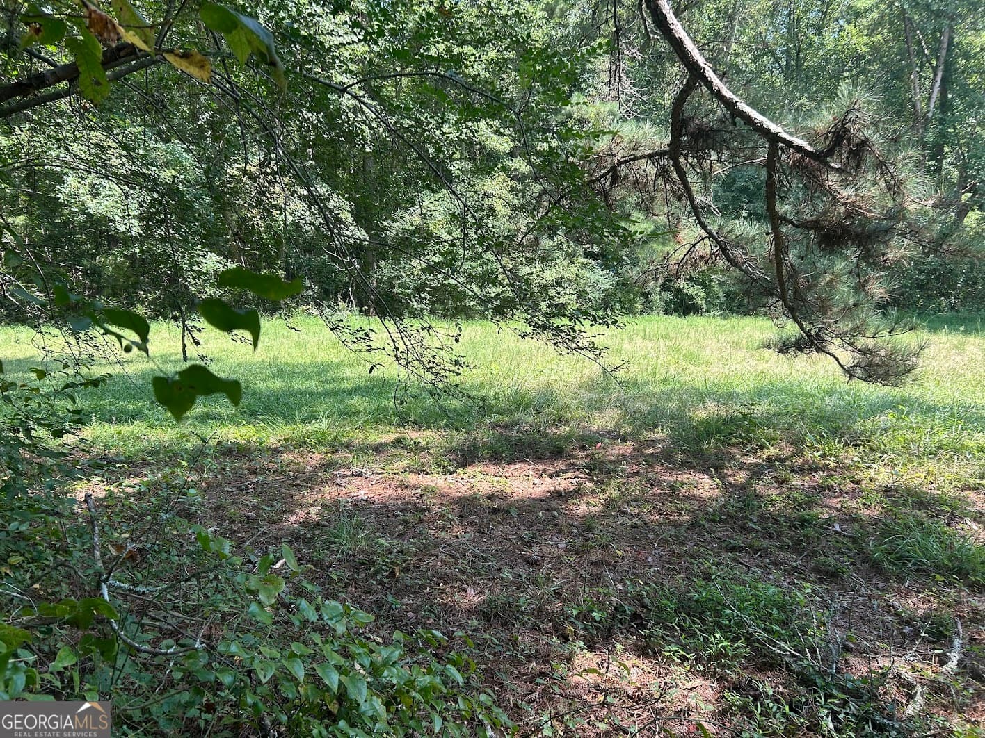 agriculture for sale at 0 Attaway Road 9.22, Bowdon, GA 30108 — photo 3