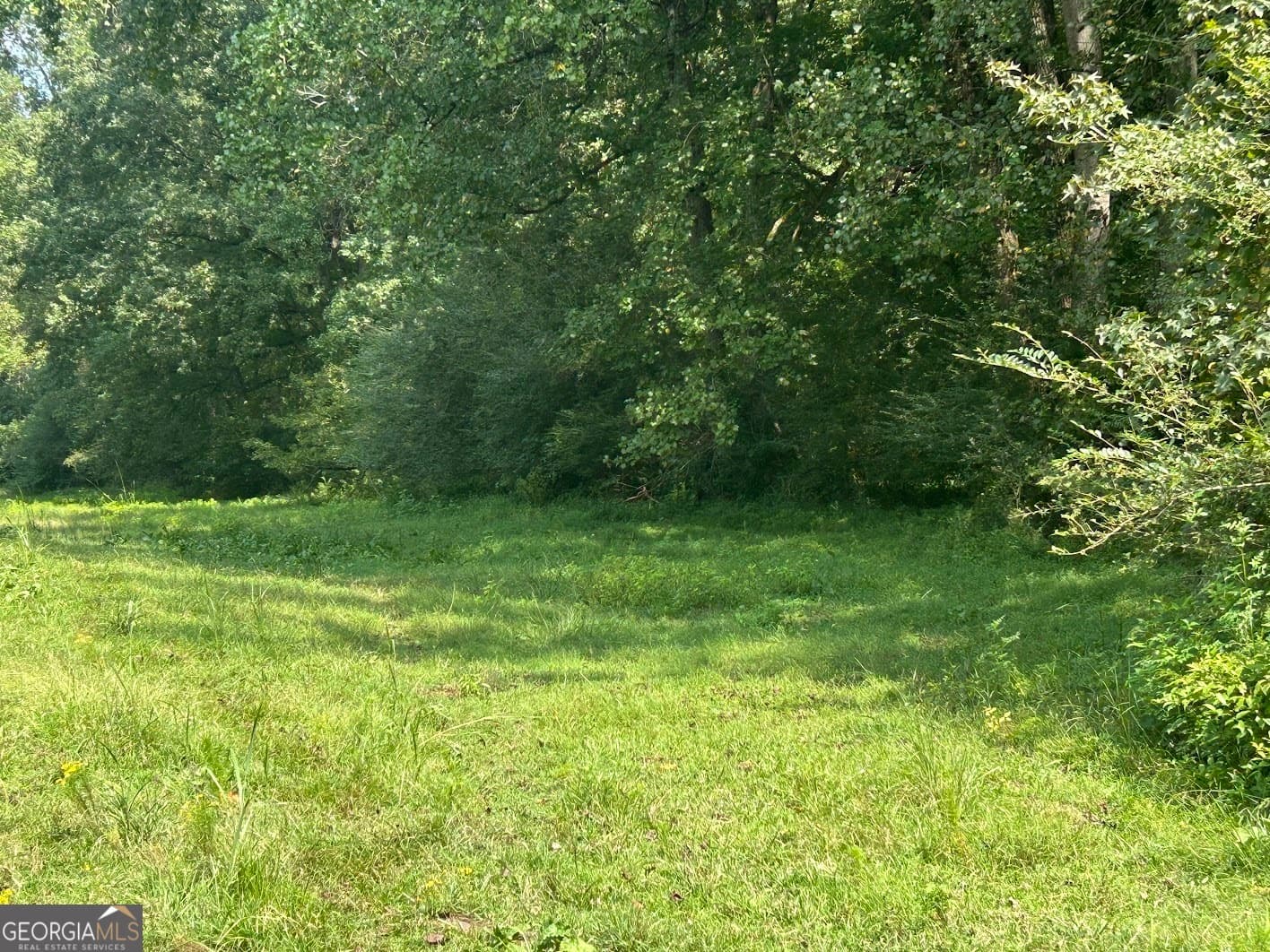 agriculture for sale at 0 Attaway Road 9.22, Bowdon, GA 30108 — photo 1 of 24