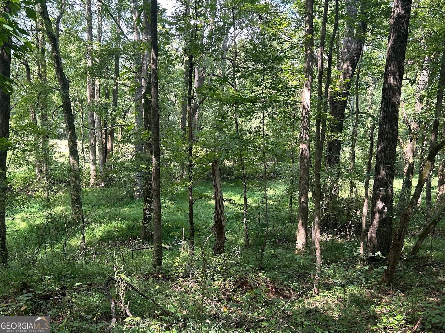 agriculture for sale at 0 Attaway Road 9.22, Bowdon, GA 30108 — photo 10