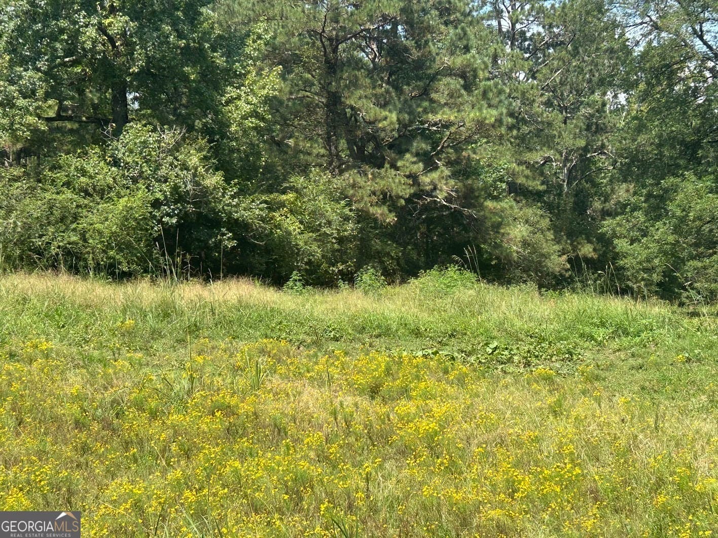 agriculture for sale at 0 Attaway Road 9.22, Bowdon, GA 30108 — photo 4