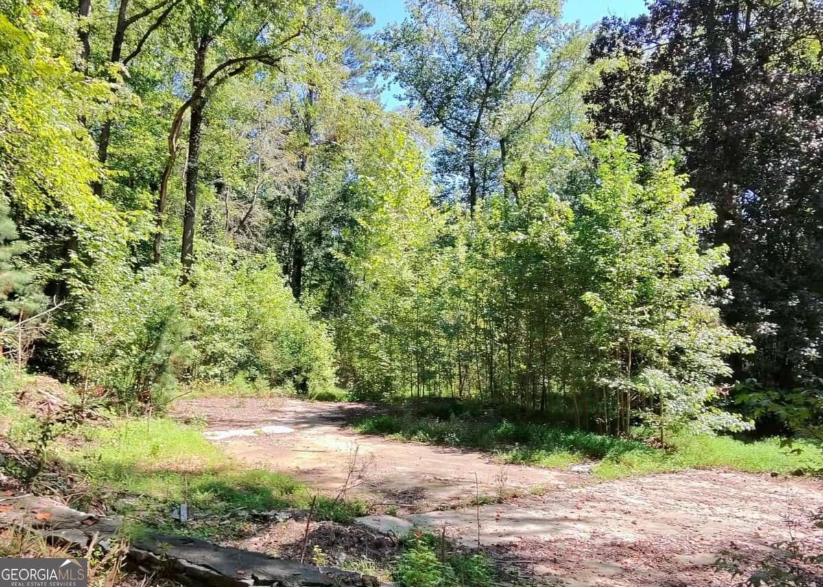 residential lot for sale at 4824 Flakes Mill Road, Ellenwood, GA 30294 — photo 2