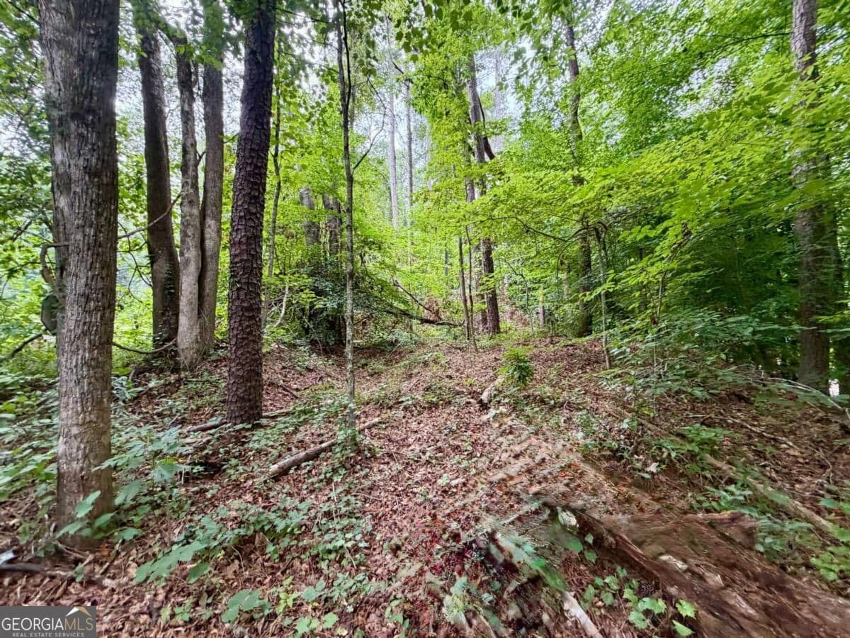residential lot for sale at 4824 Flakes Mill Road, Ellenwood, GA 30294 — photo 6