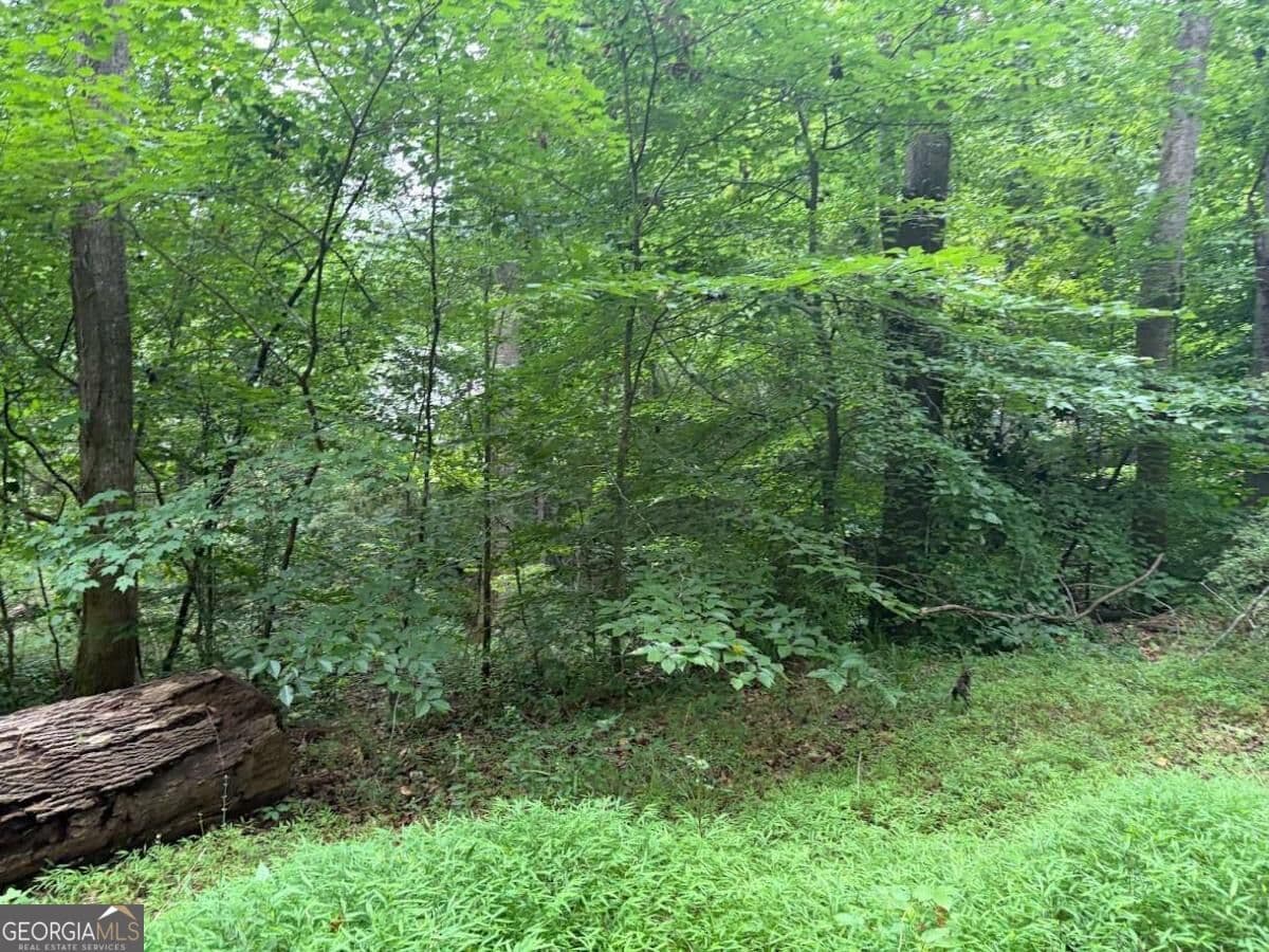 residential lot for sale at 4824 Flakes Mill Road, Ellenwood, GA 30294 — photo 7