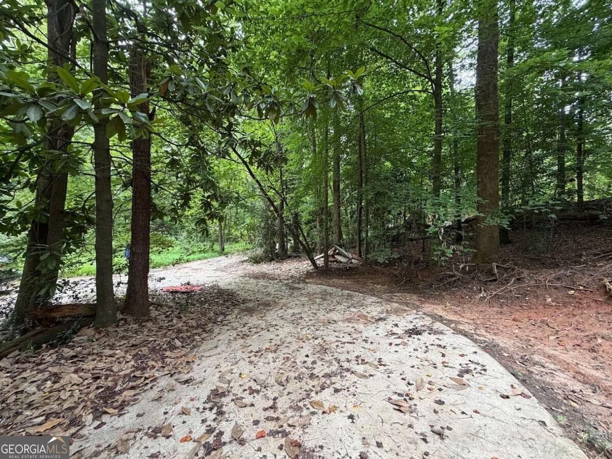 residential lot for sale at 4824 Flakes Mill Road, Ellenwood, GA 30294 — photo 3