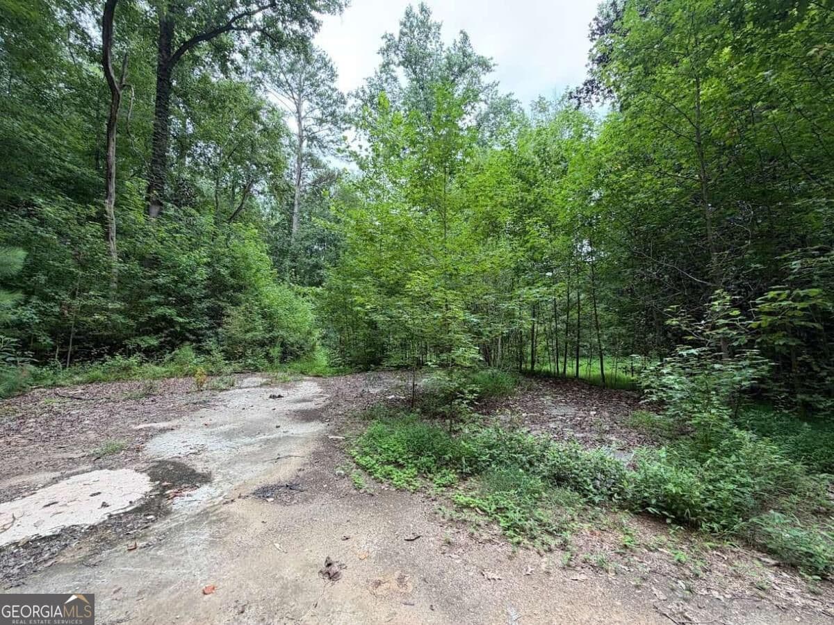 residential lot for sale at 4824 Flakes Mill Road, Ellenwood, GA 30294 — photo 5