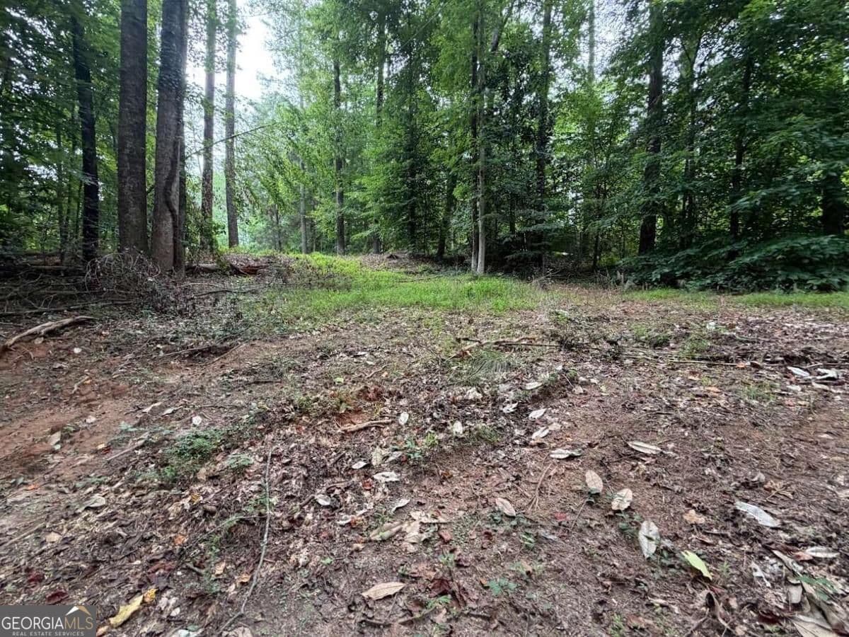 residential lot for sale at 4824 Flakes Mill Road, Ellenwood, GA 30294 — photo 9