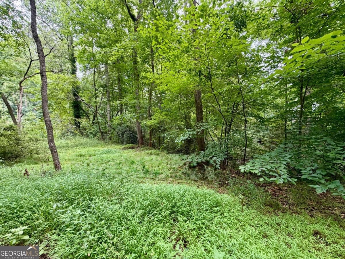 residential lot for sale at 4824 Flakes Mill Road, Ellenwood, GA 30294 — photo 4