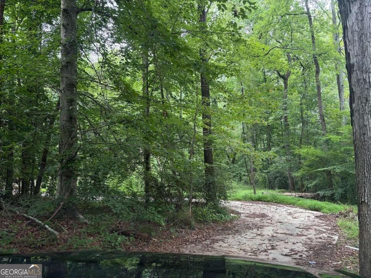residential lot for sale at 4824 Flakes Mill Road, Ellenwood, GA 30294 — photo 8