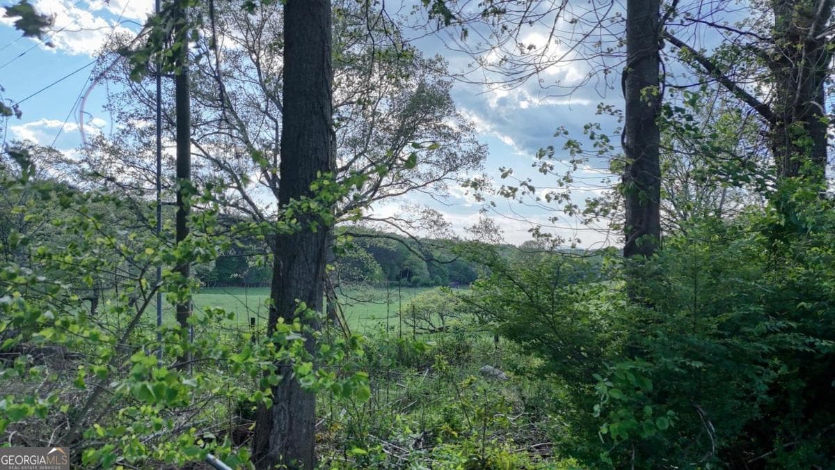 3 bedroom, 2 bathroom, 1,484 sq ft single family residence for sale at 1013 Bradley Road 4, Blairsville, GA 30512 — photo 7