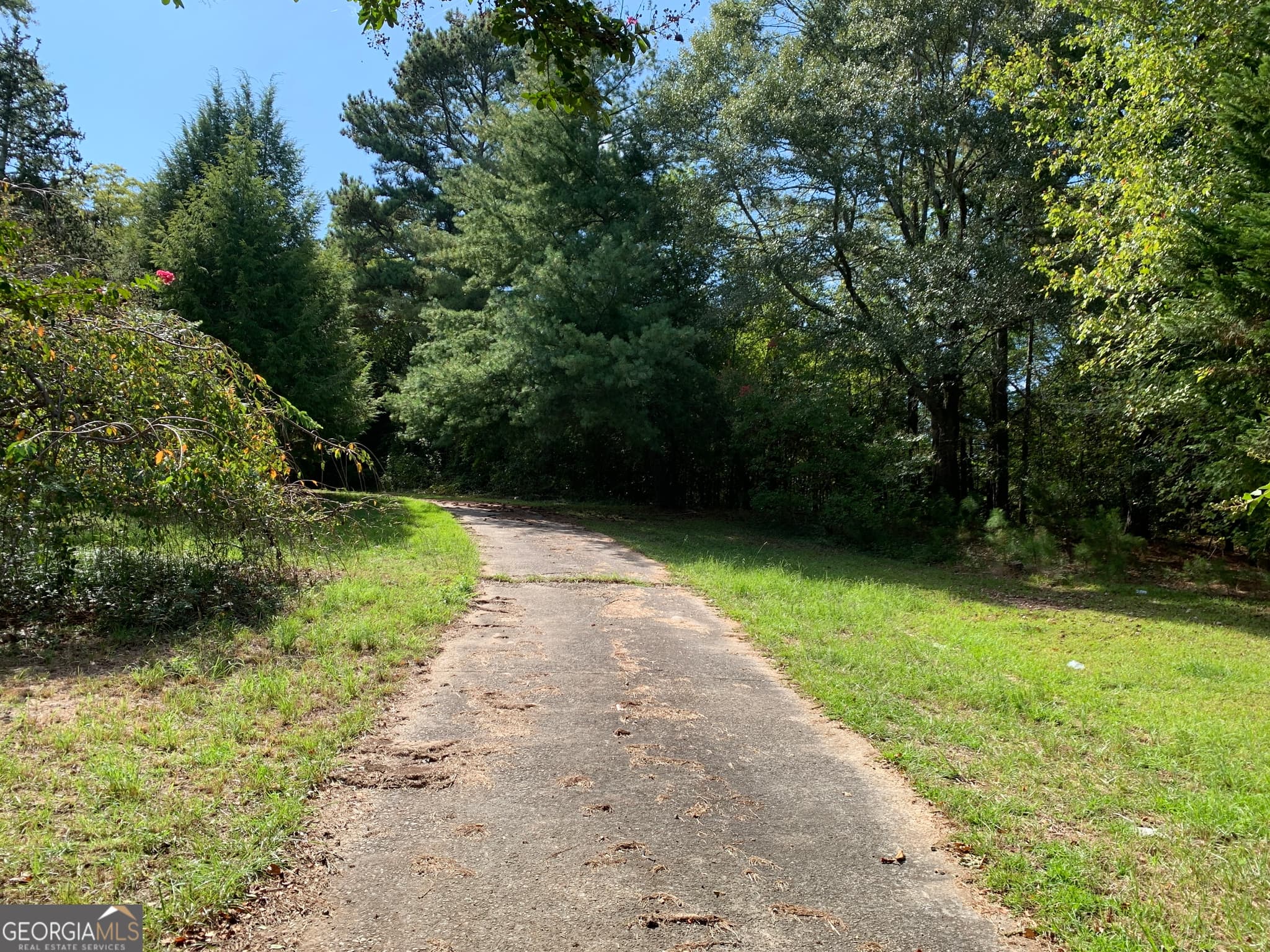 unimproved land for sale at 28 Memorial Drive, Eastanollee, GA 30538 — photo 2