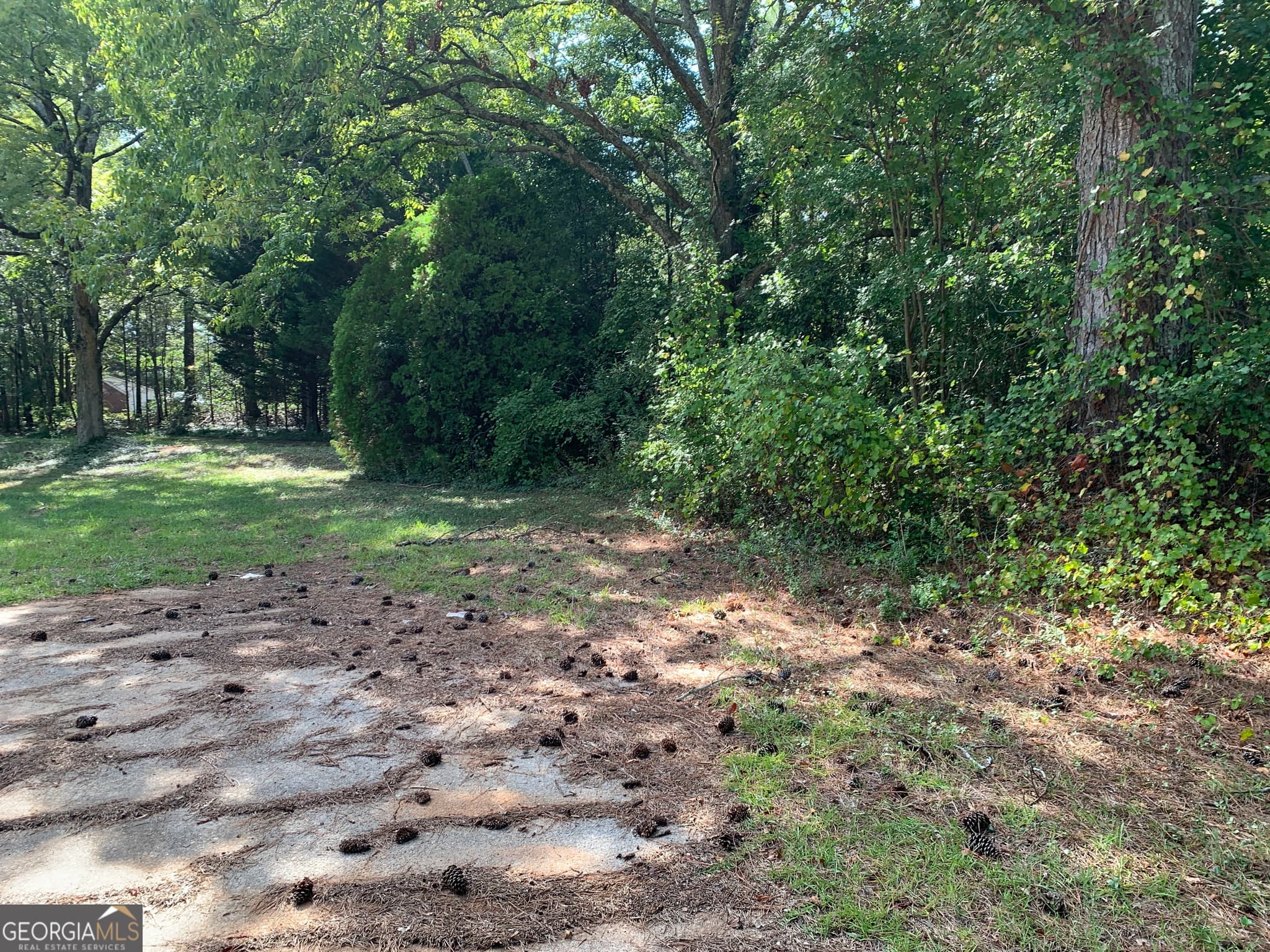unimproved land for sale at 28 Memorial Drive, Eastanollee, GA 30538 — photo 7