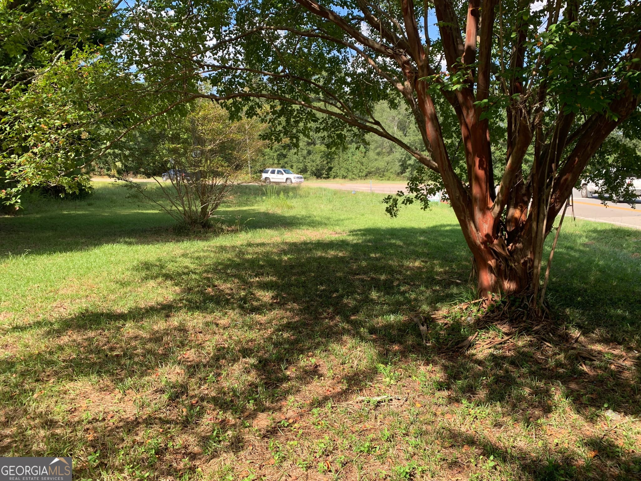 unimproved land for sale at 28 Memorial Drive, Eastanollee, GA 30538 — photo 3