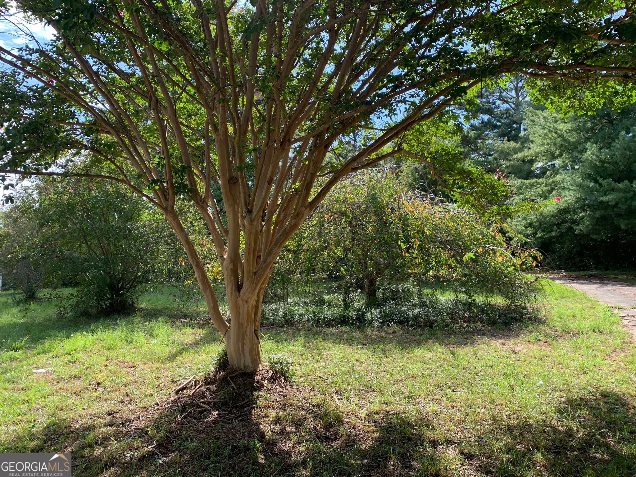 unimproved land for sale at 28 Memorial Drive, Eastanollee, GA 30538 — photo 1 of 8