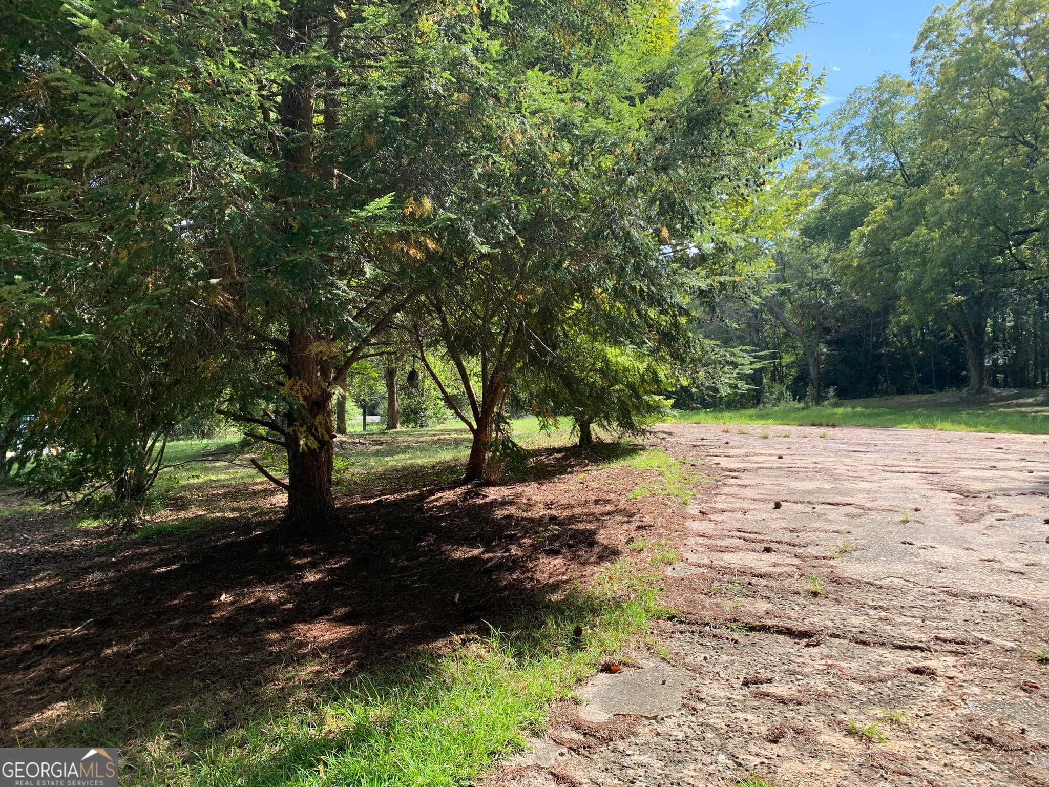 unimproved land for sale at 28 Memorial Drive, Eastanollee, GA 30538 — photo 5